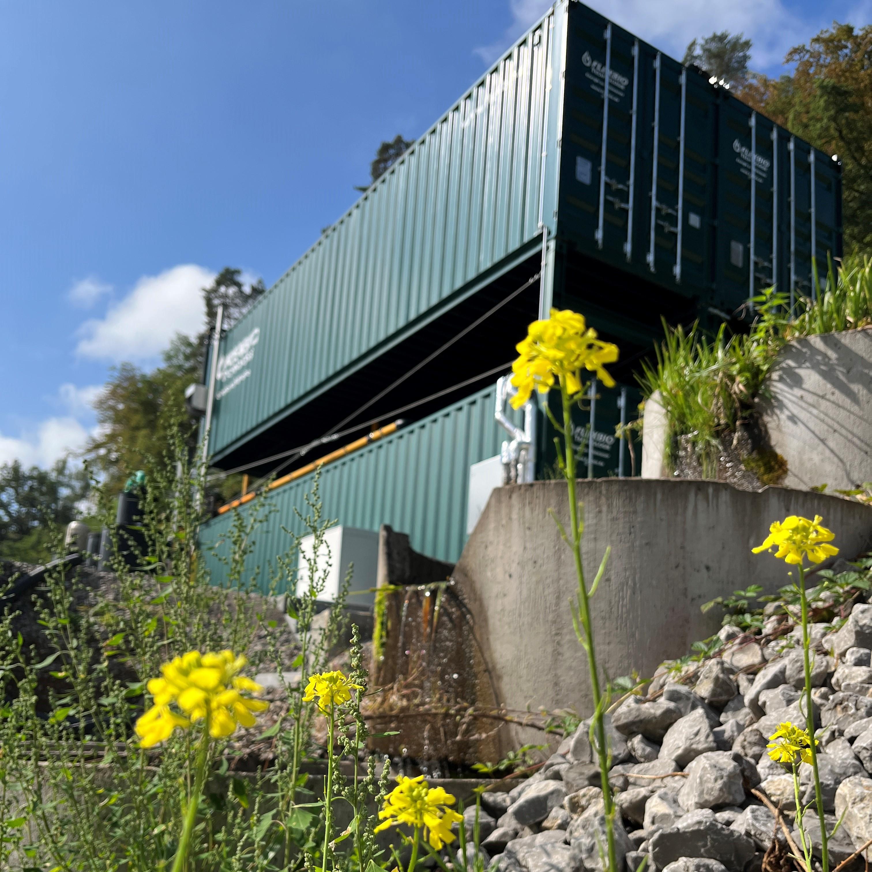 Ästhetisch in die Natur integrierte modulare FlexBio-Containeranlage in kompakter Bauweise mit grünen Containermodulen an einem Hangstandort.