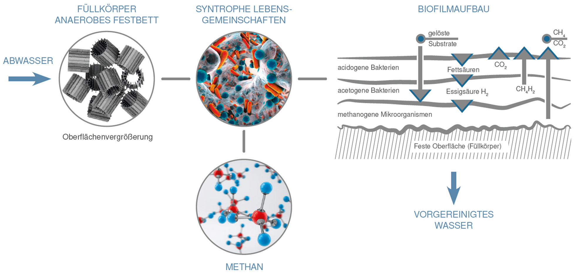 Schematische Darstellung eines anaeroben Festbettreaktors mit Füllkörpern, Biofilmaufbau, syntrophen Mikroorganismen und Methanbildung aus organisch belastetem Abwasser.